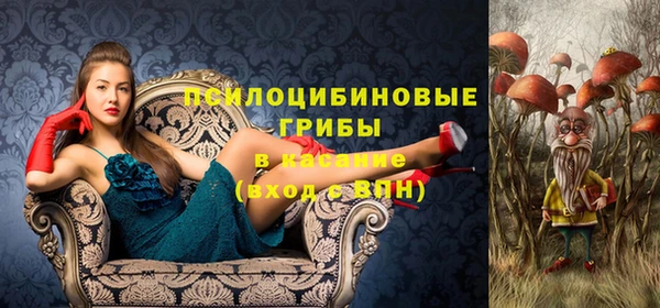 ALPHA PVP Волосово