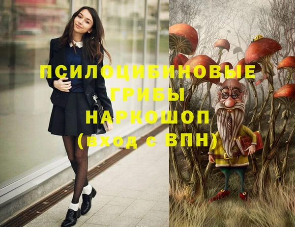 шишки Волоколамск
