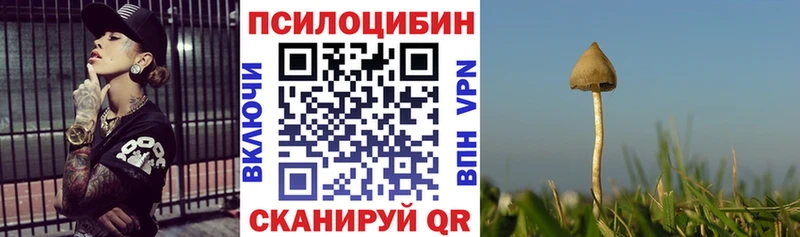 Купить  Называевск  Псилоцибиновые грибы Cubensis 